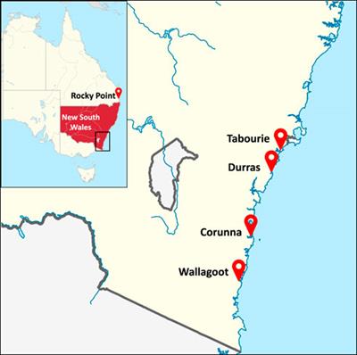 Eastern king prawn Penaeus plebejus stock enhancement—Genetic evidence that hatchery bred prawns have survived in the wild after release